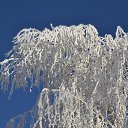 �� �������� ������ ������� ������ ������������ ����� ����� �������� �� ������� ��� �����������