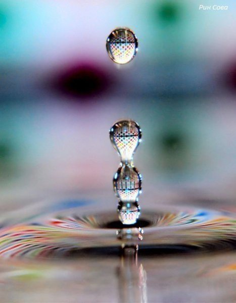 - Здесь занимают очередь на жертвоприношение? - Здесь, здесь! За мной будете. Я 852, вы - 853. - А ... - 2