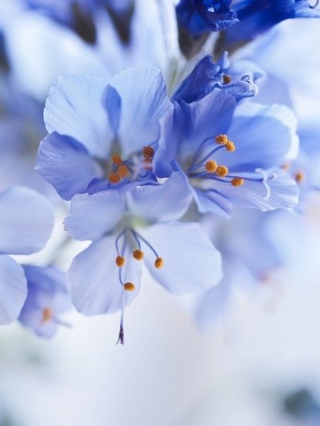   - 22  2015  11:30 - 5