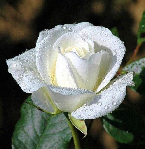  - 22  2015  09:24 - 2