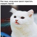 ���� ���������, ���������� ����� - ��������� 24 ����� 2015 � ������ ������ ��������