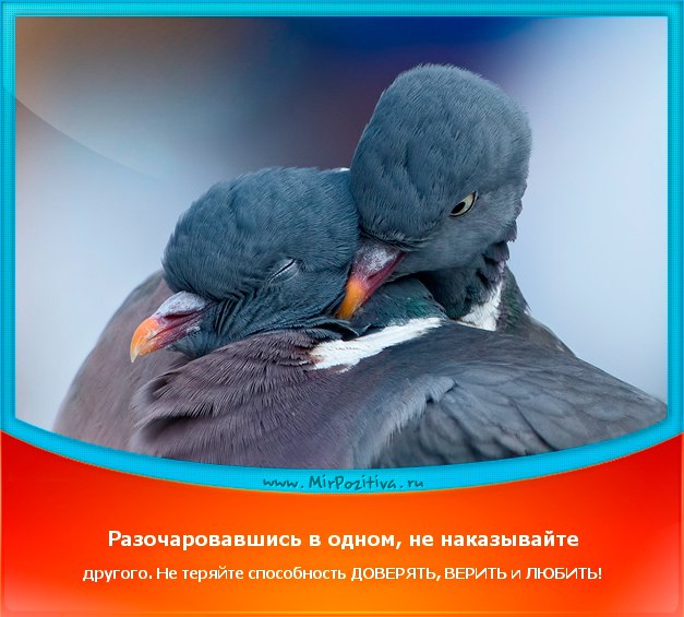 �@������@ - 18 ������ 2015 � 18:56
