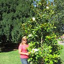 ���� ������ ��������, �����������, 56 ��� - ��������� 18 ������ 2015 � ������ ���� ����������