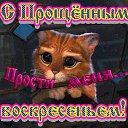 ���� �����, ������������ - ��������� 22 ������� 2015 � ������ ������ ��������