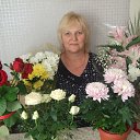 ���� �����, ������� - ��������� 31 ����� 2015 � ������ ���� ������ 2015� �-�"������ �����"�