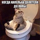 ���� ���������, ����, 48 ��� - ��������� 5 ������� 2015 � ������ ������ ��������