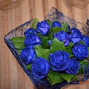 ���� ������, ������, 45 ��� - ��������� 9 ����� 2015 � ������ ���� ����������