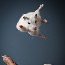 ���� Evgeniya, ����������, 40 ��� - ��������� 16 ������ 2015 � ������ ���� ����������