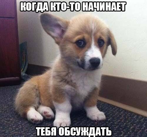 ������������ ���� - 21 ������ 2015 � 13:32