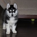 ���� ������, �����, 26 ��� - ��������� 20 ����� 2015 � ������ ��������