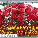  ,  -  30  2015     2014 