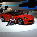 �������� 2014 �� ������� ���� ����������