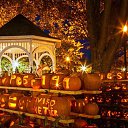 �������� ����� � ���.