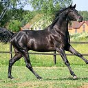 ���� �����, �����-���������, 55 ��� - ��������� 25 ����� 2015 � ������ ��������))�