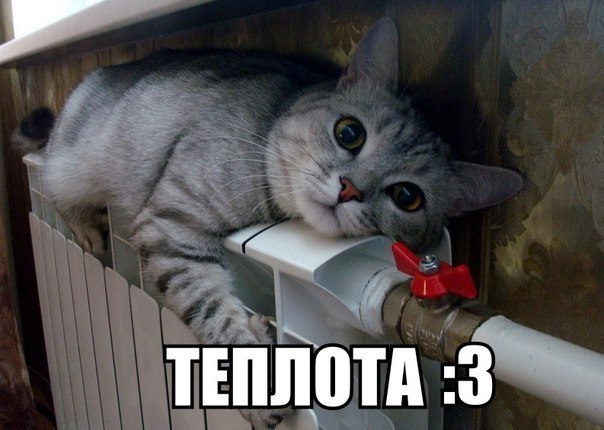 ☆����� � �������� �������☆ - 21 ������� 2015 � 02:40