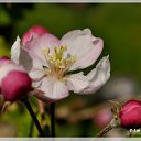 ���� �����, ����� - ��������� 23 ����� 2015 � ������ ������ ��������