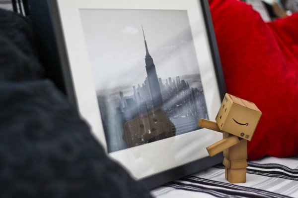    Danbo,       . - 4