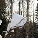 ���� �������� ���� ����������, ��������, 72 ���� - ��������� 5 ������� 2015 � ������ ���� ������� � ���� ������