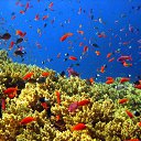  Xxxxx, , 65  -  27  2015    