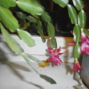 ���� ������, ������, 60 ��� - ��������� 30 ������� 2014 � ������ ������ ��������