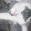 ����� ���� �� ������� ���� ����������