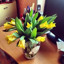 ���� ������, ������ - ��������� 26 ������ 2015 � ������ ������ ��������
