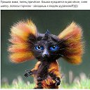 ���� ���������, ����� - ��������� 15 ������ 2015 � ������ ������ ��������