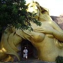 ���� ����, �����������, 49 ��� - ��������� 10 ����� 2015 � ������ ���� ����������