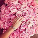 ���� ������, �����, 66 ��� - ��������� 5 ������� 2015 � ������ ���� ����������