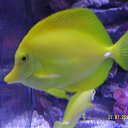 ���� Eugene, �������, 43 ���� - ��������� 18 ������� 2014 � ������ ����������� ��������