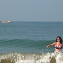  , , 61  -  22  2015   --2015