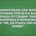 ���� �����, ���������, 43 ���� - ��������� 11 ������ 2015 � ������ ��������....�
