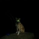 ���� �����, �����-�������� - ��������� 29 ������� 2014 � ������ ���� ���� ������