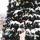 ���� ���������, ����� - ��������� 7 ������ 2015 � ������ ���� ����������