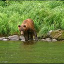 ���� ��������, ������ ���, 70 ��� - ��������� 14 ������� 2014 � ������ ���� ����������