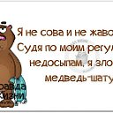 ���� ������, ������ - ��������� 8 ������ 2015 � ������ ������ ��������