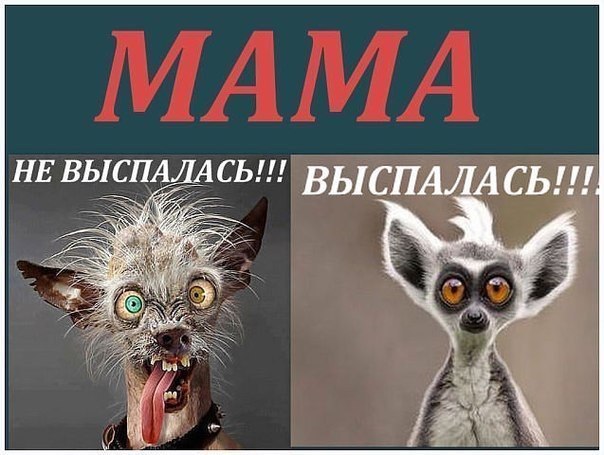 Счастливая семья - 17 февраля 2015 в 22:06