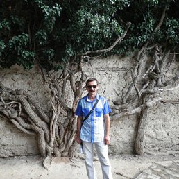 ���� �����, ���������, 63 ���� - ��������� 23 ������� 2015