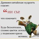 ���� �����, ������ - ��������� 20 ������� 2015 � ������ ���� ����������
