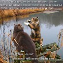 ���� �����, �����, 61 ��� - ��������� 18 ������� 2014 � ������ ������ ��������