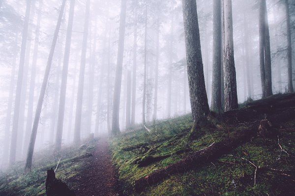 Washington
