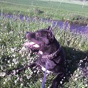 ���� �������, ���� - ��������� 31 ������� 2014 � ������ ������ ��������