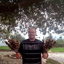 ���� ���������, �����, 54 ���� - ��������� 31 ����� 2015 � ������ ���� ����������