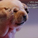 ���� ������, �����������, 36 ��� - ��������� 28 ������� 2014 � ������ ���� ����������