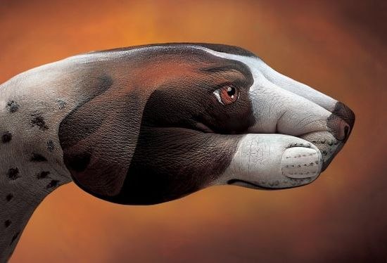   .    (Guido Daniele)   ... - 10