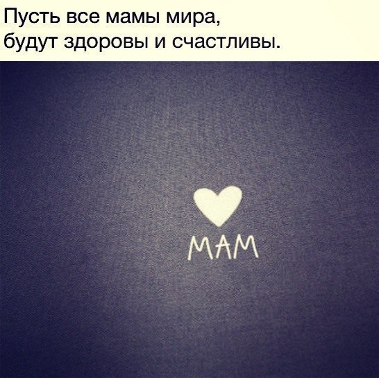   |  |  - 13  2015  13:21