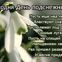 ���� �������, ��������, 53 ���� - ��������� 11 ������ 2015 � ������ �������� ��������