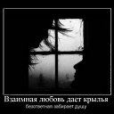 ���� �����, ������� - ��������� 8 ������ 2015 � ������ ������ ��������