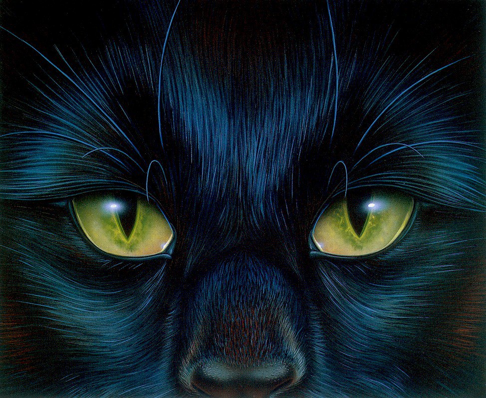 Barclay Shaw - 15