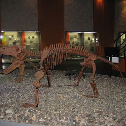 ���� ��������, ������ - ��������� 17 ������� 2014